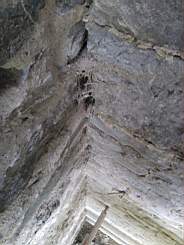 acastle 144630.jpg